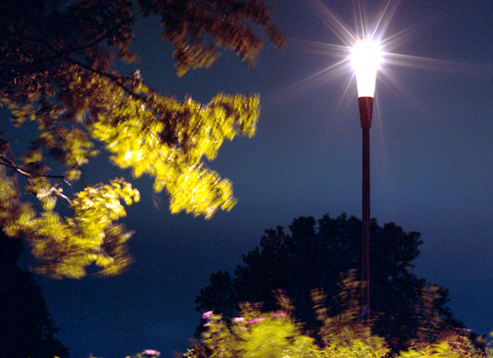 Stadtmauer in Ladenburg